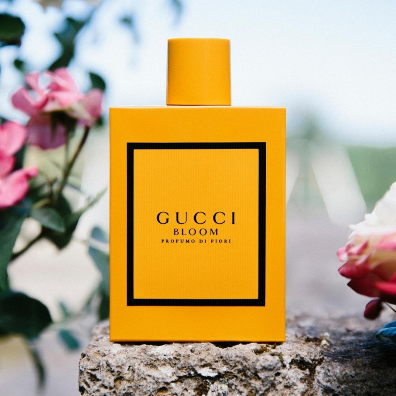 gucci bloom cofre